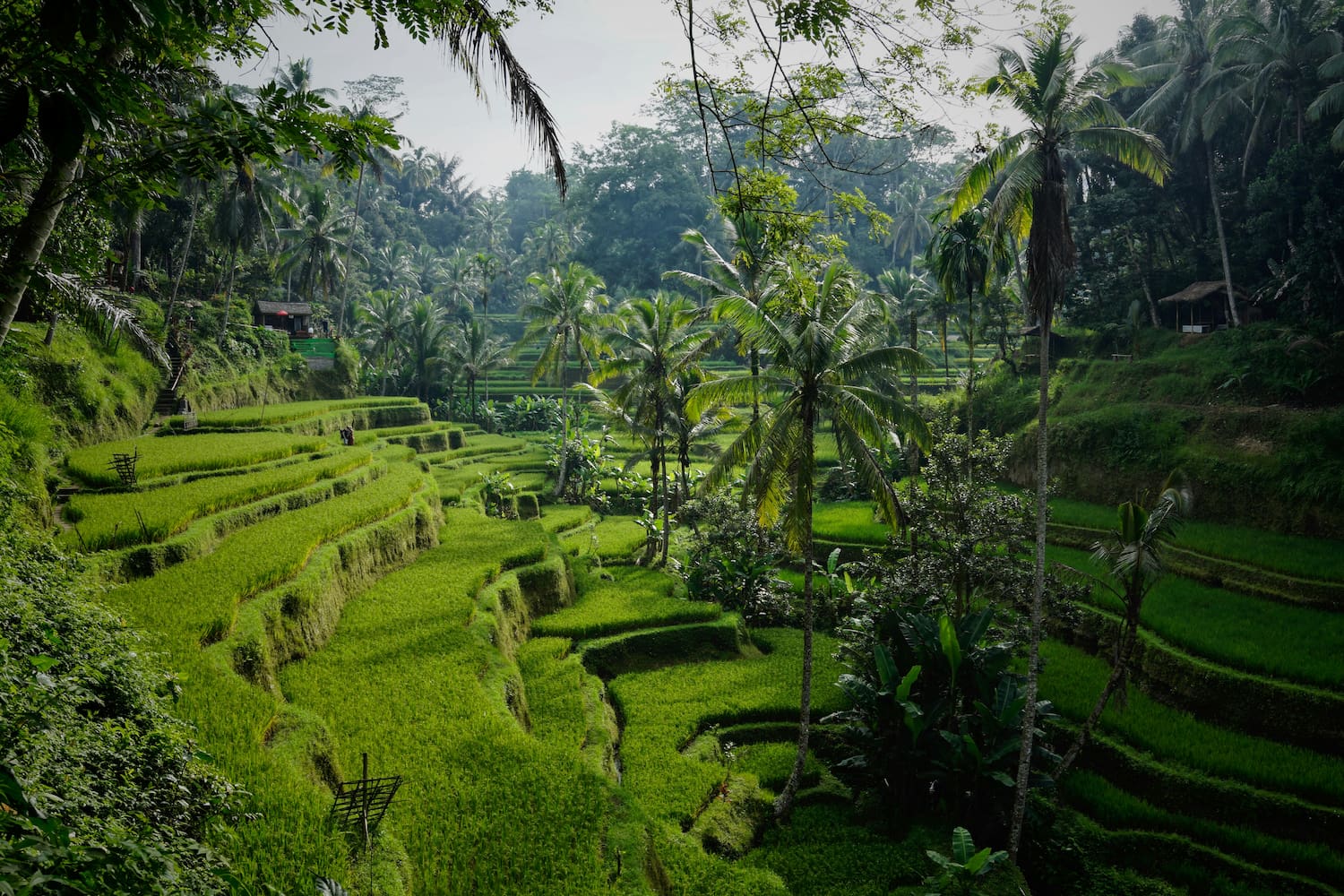 Tips Merencanakan Liburan Hemat dan Tempat Liburan Menarik
