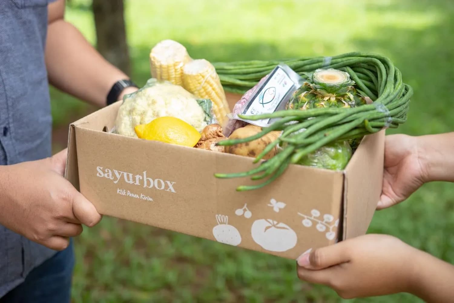 Sayurbox - DOKU.Promo