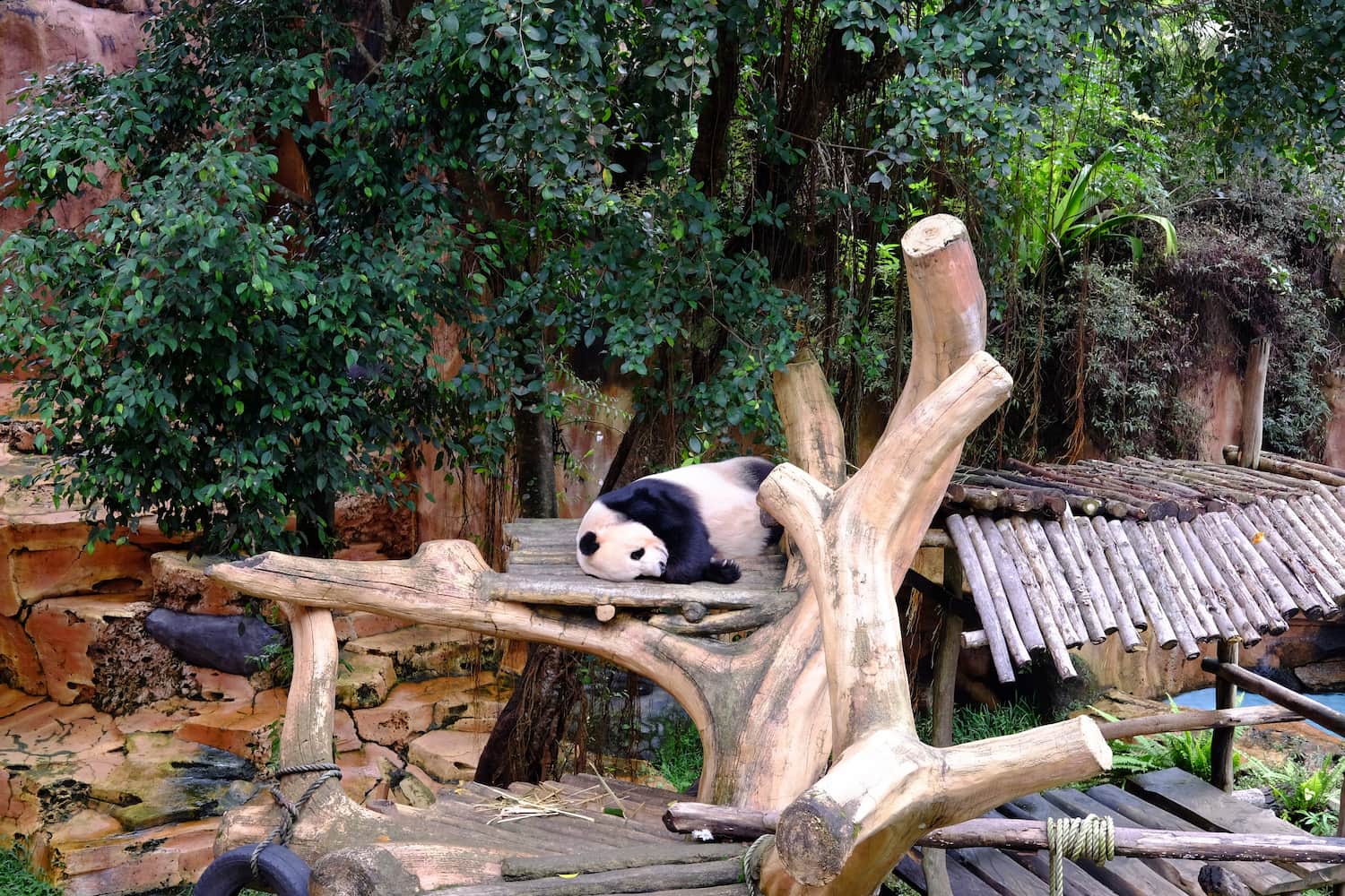 Taman Safari Bogor - DOKU.Promo