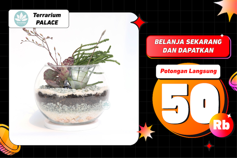 Terrarium dan souvenir cantik 🌵
